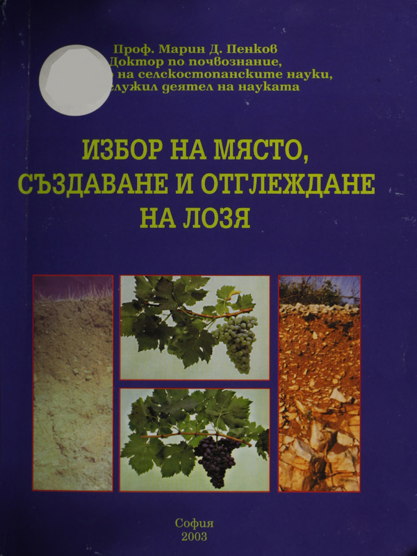 Избор на място, създаване и отглеждане на лозя