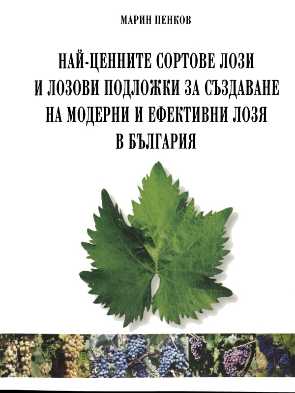 Най-ценните сортове лози и лозови подложки за създаване на модерни и ефективни лозя в България