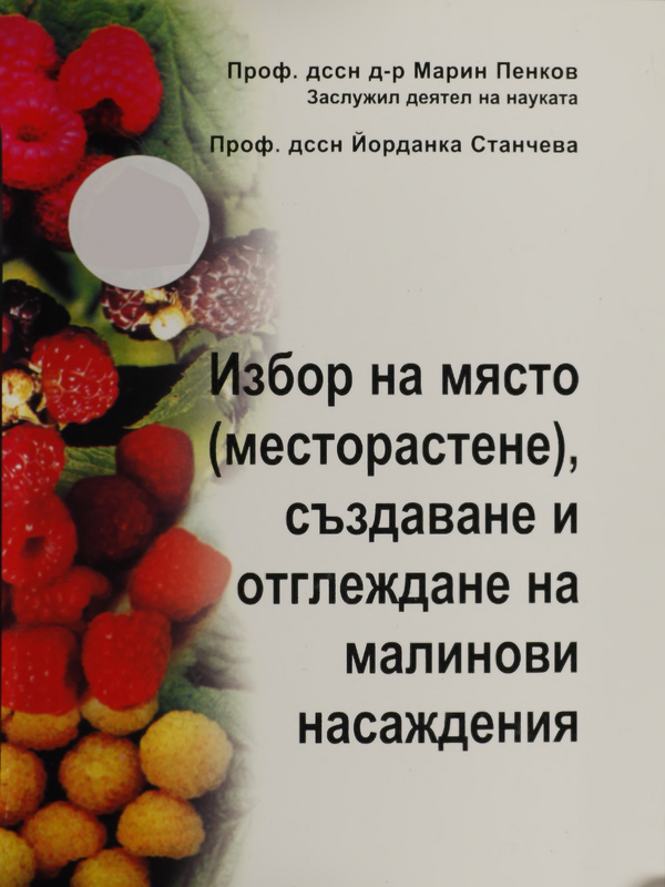 Избор на място (месторастене), създаване и отглеждане на малинови насаждения